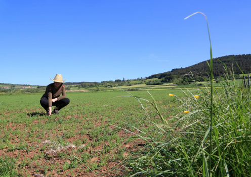 agriculteur dans un champ