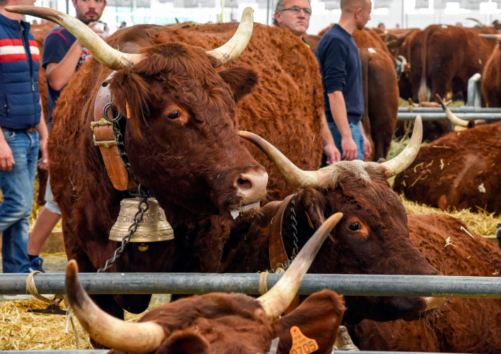 Sommet de l'élevage 2018 (photo d’archives)